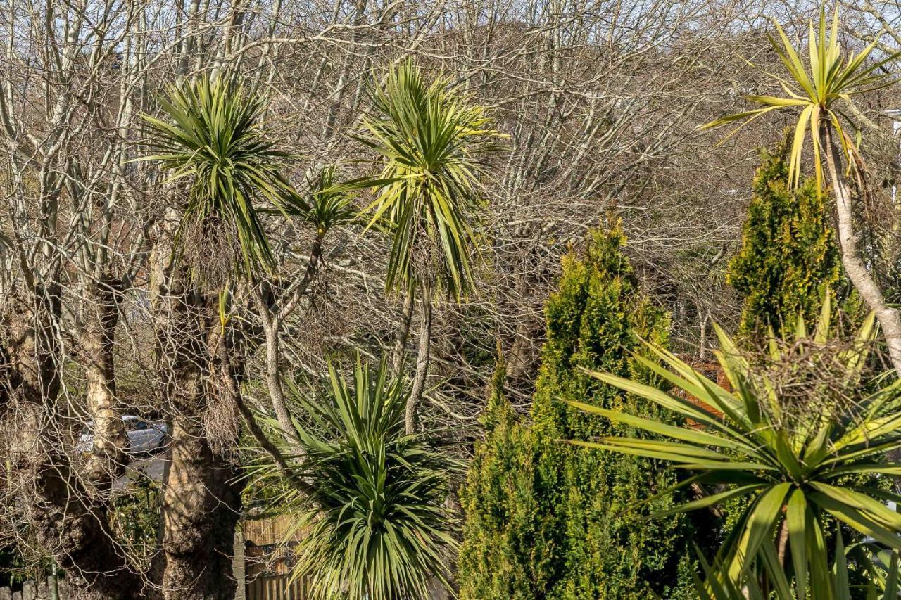 Melba House (Adults Only) Bed and Breakfast Torquay Εξωτερικό φωτογραφία